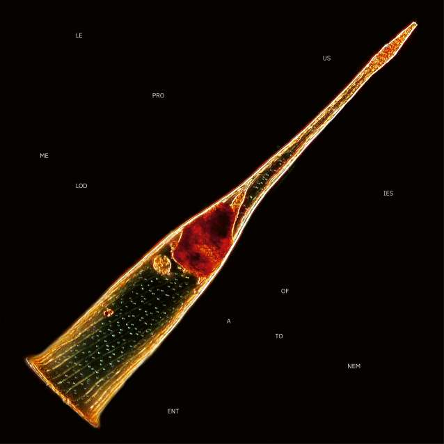 Reviews Melodies Of Atonement BLABBERMOUTH NET